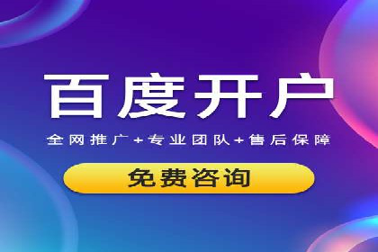 SEM代理服务：案例对比，效果哪家更胜一筹
